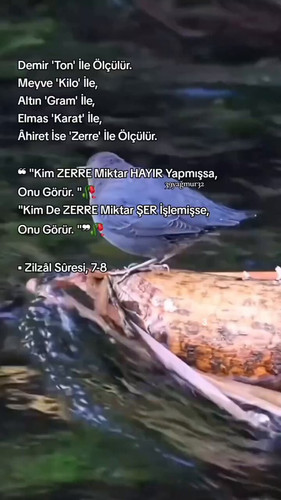 l9KOz6ITjv xneQj.jpg