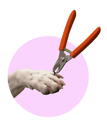 DOGGY IMAGE CIRCLE 009.png