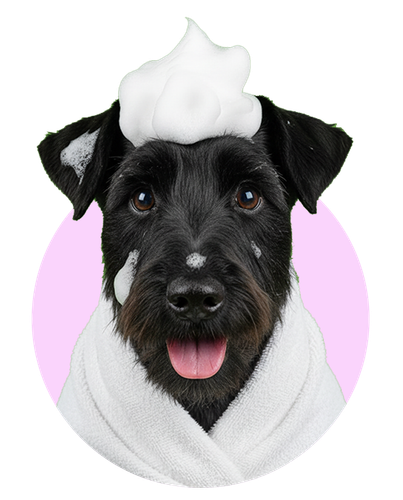 DOGGY IMAGE CIRCLE 008.png