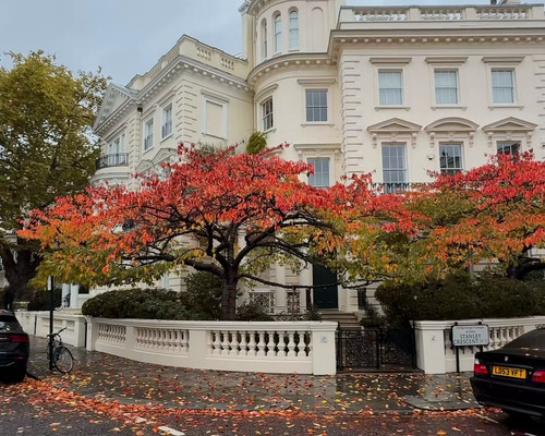 ujoQkj4 Pq6fSBzK.jpg