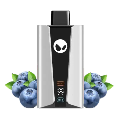 Waka soPro 25000 Blueberry Splash 5.webp