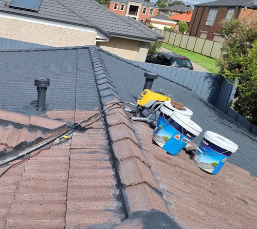 Professional Roof Painters in Melbourne You Can Trust in.jpg