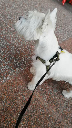 UFzIPvltm zVpkdD.jpg