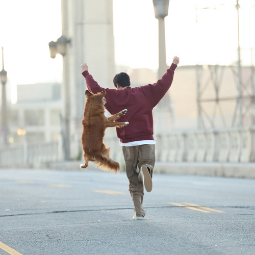 weverse 20241123170137(1).jpg