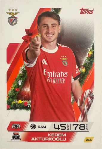 Parallel calendar 96.jpg