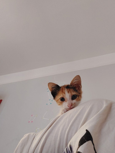 gati.jpg