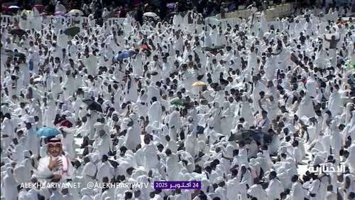 zY4C1adcMKBKs Hb.jpg