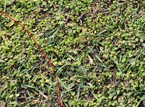 Screenshot 20251024 170920.png