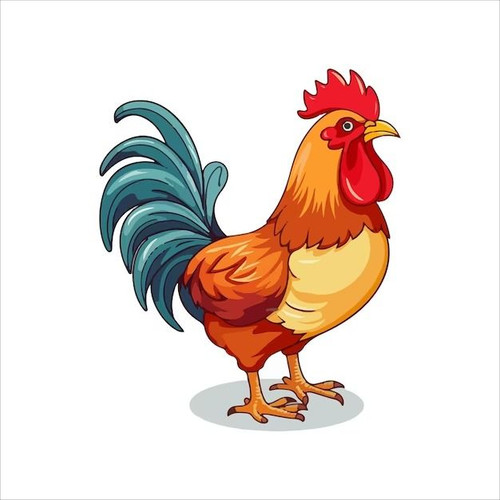 Cartoon chicken Premium Vector.jpg