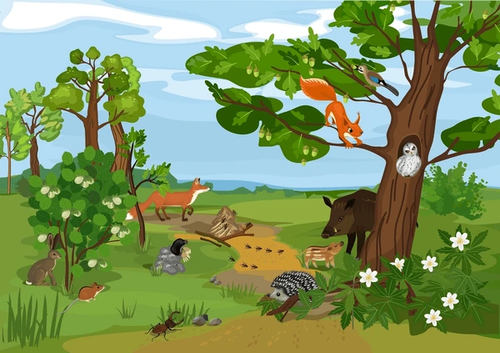 image025.png