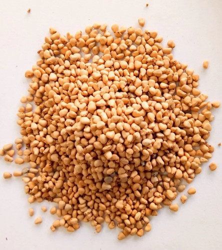 11 1guava fruit hybrid quality s.jpg