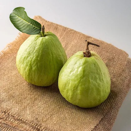 thai guava 2 pcs approx 550 g 70.jpg