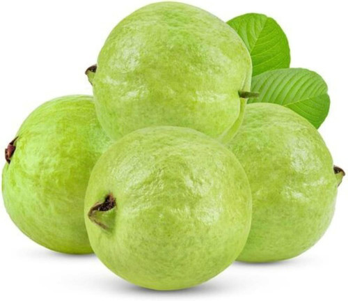 xolda organic guava fruit seed 2.jpg