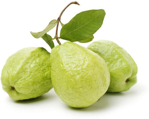 15 1guava fruit hybrid quality s.jpg