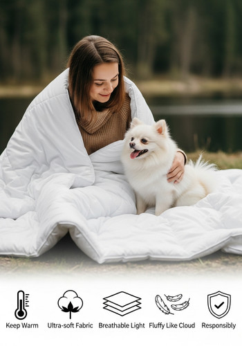 Whisk d8a8ead348f6570ba0b4ba324d559dfbdr.jpg