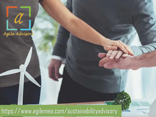 ESG Excellence in the UAE Finding the Right Sustainability Advisor for Your Business.png