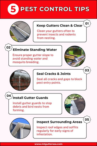 Top 5 Pest Control Tips for Texas Homes.jpg