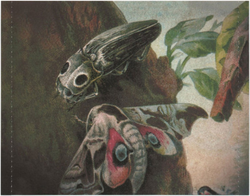 Bee And Flower – Suspension 7.jpg