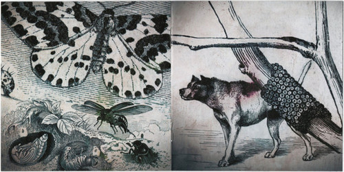 Bee And Flower – Suspension 5.jpg