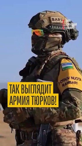 YJpcmGVGVpU1U10L.jpg