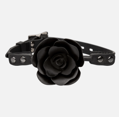 Знімок екрана 2025 10 24 о 13.22.48.png