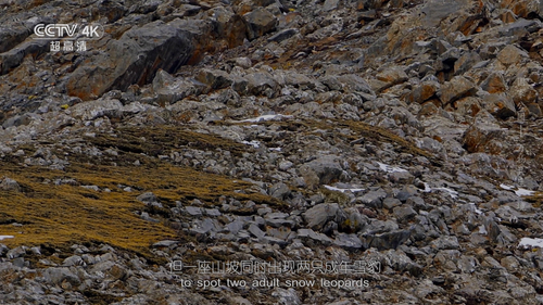 20251024 190304 584162.png