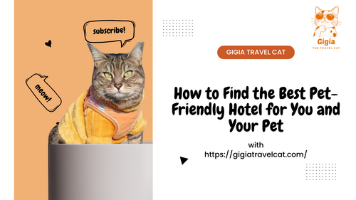 hotel pet friendly italia.png