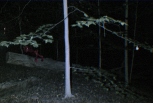 Squirrel Crawler.png