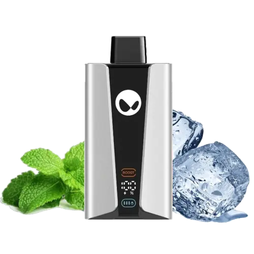 Waka soPro 25000 Fresh Mint 5.webp