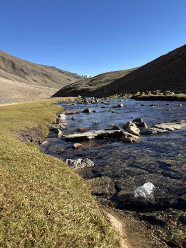 IMG 7074.jpg