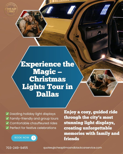 Christmas Lights Tour in Dallas.jpg