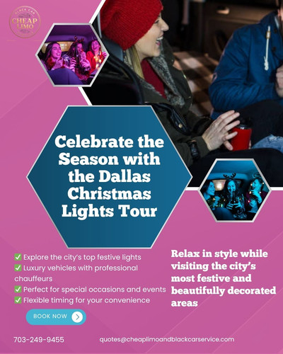 Dallas Christmas Lights Tour.jpg