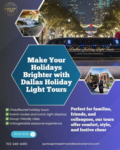 Dallas Holiday Light Tours.jpg