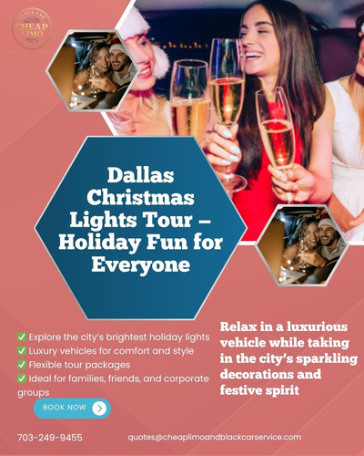 Christmas Lights Tour Dallas.jpg