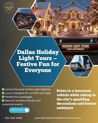 Holiday Light Tours Dallas.jpg