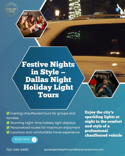 Dallas Night Holiday Light Tours.jpg