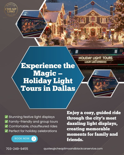 Holiday Light Tours in Dallas.jpg