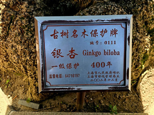 a31oAy21xiJk5qxf0YAvj8VhuC Uu6Eak Itzup85XDeKSPQA58T90atgEY82iEaizgbeGvTm8z 0Ecyoyx I6yb0TQyyRTFdidN.jpg