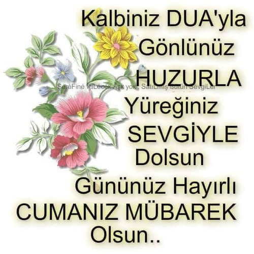 IMG 20251023 212419 859.jpg