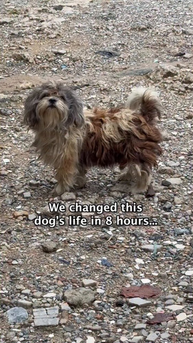 dc22Wq5RJQ pLUAx.jpg