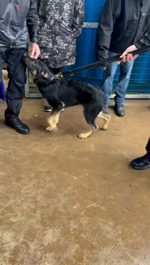 fSsEVedvC3h3x7Aw.jpg