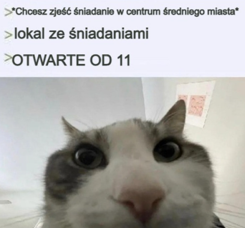 G32Y 2AWoAA2yvL.2