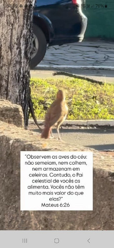 2423e0ce8062.jpg