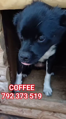 wgWZk8TN mUVjvSD.jpg