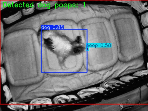 20251023 163420 annotated image.jpg
