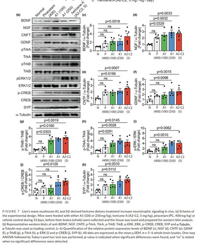 G3 WukZW8AAL6vP?format=jpg.jpg