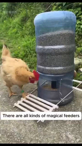 iTjo6nzR BJcuGgz.jpg