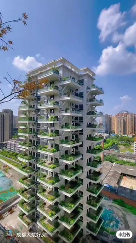 NG8eVIwh0Jjs 4 6.jpg