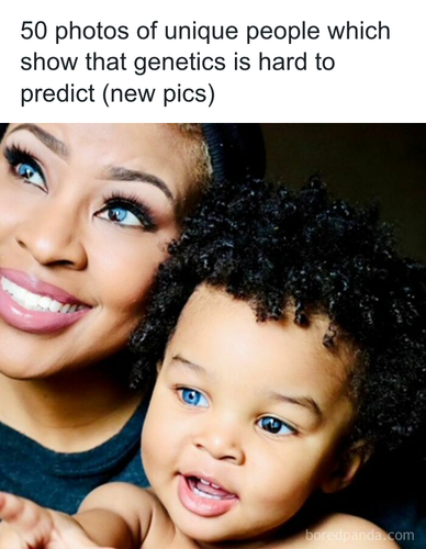 download 2025 10 24T170447.488.png