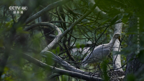 20251024 194907 910573.png